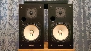 test Yamaha ns-10mt