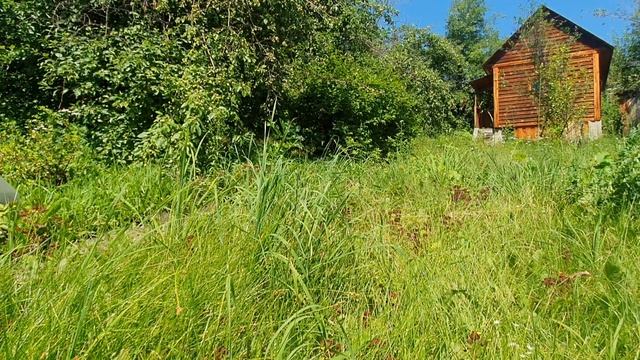 Даёт Бог милость быть на сей земле... смотреть онлайн