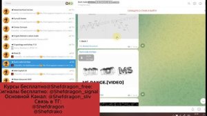 Workshop 11.0 — Практический курс по трейдингу