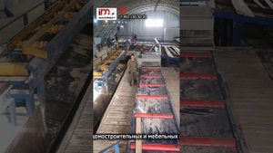 Лесопильная линия Арктант с поворотом на 180град.