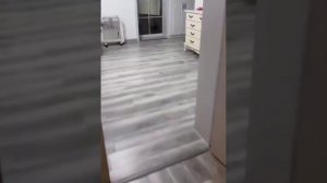 Коты всегда ответят