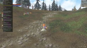 Обзор на нового биша в Lineage 2 Essence