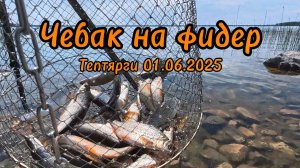 Летняя рыбалка 2025 Ловля на фидер Чебак Щука