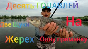 Рыбалка огонь 💥💥💥 это точно на всю жизнь 😁😁😁