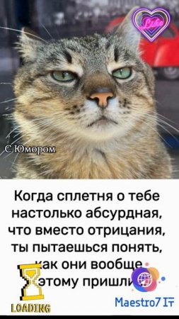 💻 Мда уж ...