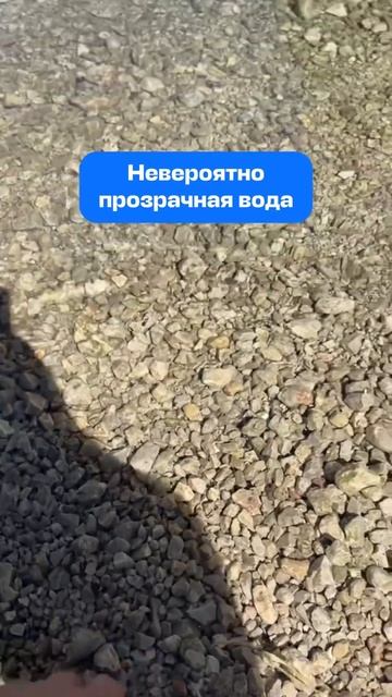 Вы тоже сначала подумали, что это просто камни? #путеше