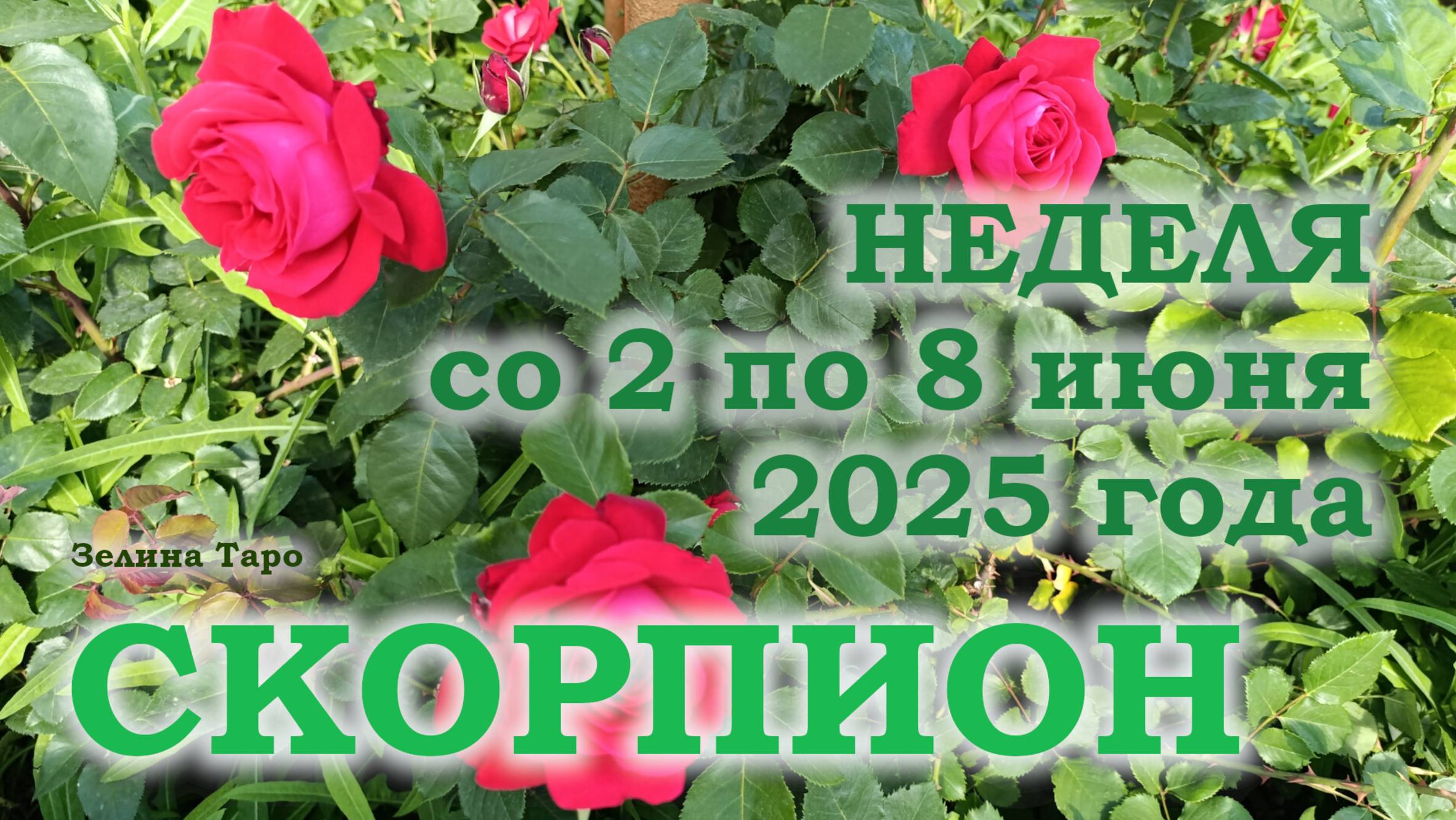 СКОРПИОН | ТАРО прогноз на неделю со 2 по 8 июня 2025 года