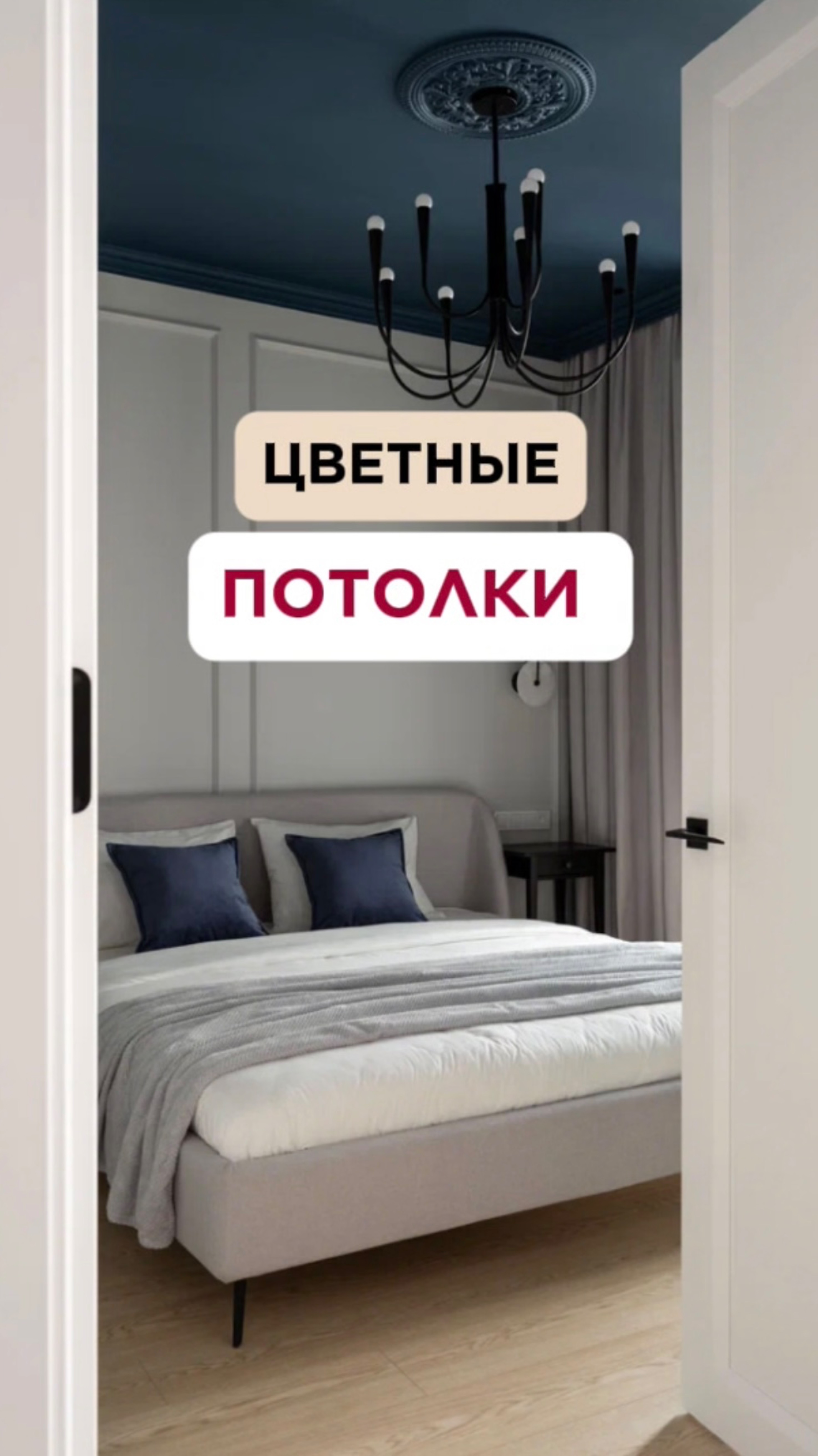 Holly Design! Вооружена трендами и особо опасна!