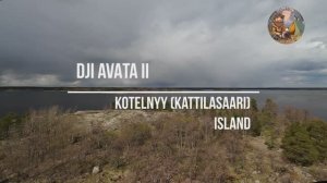 Полет над Котельным островом на Финском заливе (DJI AVATA 2) Видео 4 #dji #drone #avata