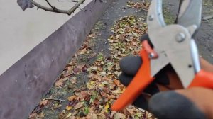 Аккумуляторный секатор ProCraft. Необходимость или прихо?