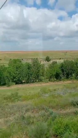 Пролетели Волгоград2