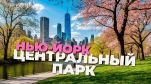 Нью-Йорк весной: 🌸 Прогулка по Центральному парку под солнечными лучами! ☀️🌿