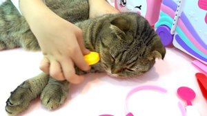 Диана и Рома Диана и ее кошачий малыш