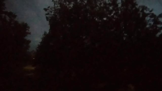 Ночной певец