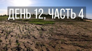 День 12, часть 4