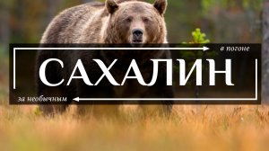 Сахалин который ты точно никогда не увидишь| 80 километром пешком через медвежий край к маяку Анива