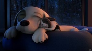 Does Your Dog Have Separation Anxiety? Calm Your Dog with Relaxing Rain Noise