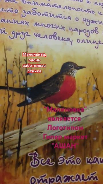 Маленькая ,заботливая птичка "Малиновка" 💼Логотип Ги? смотреть онлайн
