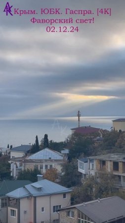 Крым. ЮБК. Гаспра. [4K] Фаворский свет. 02.12.24 #андрейкрымский #артемийкрым #гаспра #юбк
