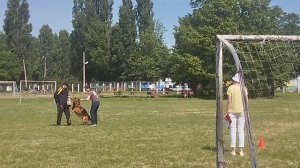 3 Отл. Зависть Богов ШЕНОН Лучшая защита! №13. КЧК КРАСНОДАР 24 мая`25 Н.Морева Моно нем.овч.