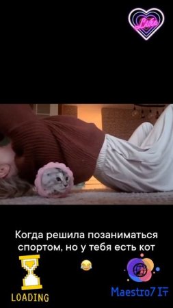 💻 На спортике с котом