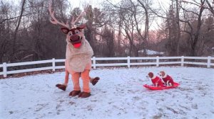 Dogs Surprised by GIANT Reindeer on Christmas!
