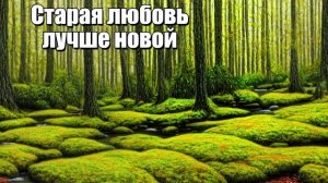 Старая любовь лучше новой