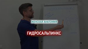 Гидросальпинкс
