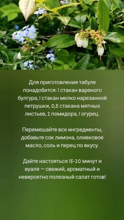 Табуле — освежающий летний салат 🤗🥗🌿