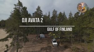 Полет над Финским заливом (DJI AVATA 2) Видео 3 #dji #drone #avata