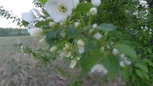 Верино деревня в Азовском немецком национальном районе Омской области 2/Verino is a village 2
