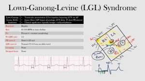 51.Lown-Ganong-Levine (LGL) Syndrome