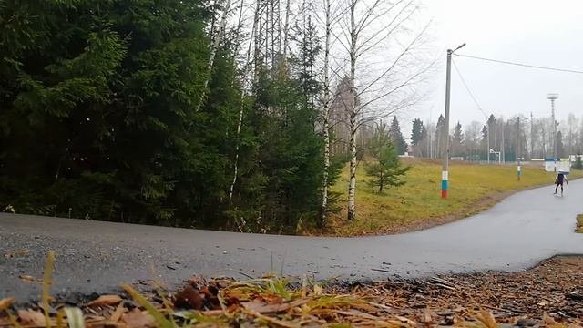 Лыжероллеры осенью