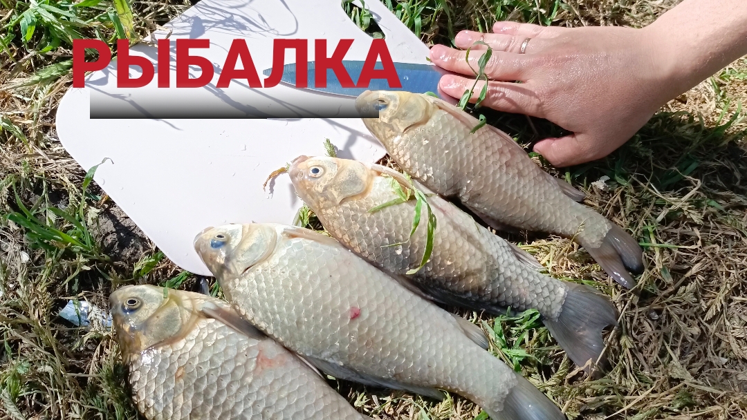 РЫБАЛКА. ОТДЫХАЕМ 🏖️