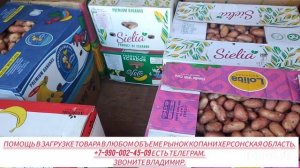 01-06-2025г Цены сегодня рынок Копани Херсонская область