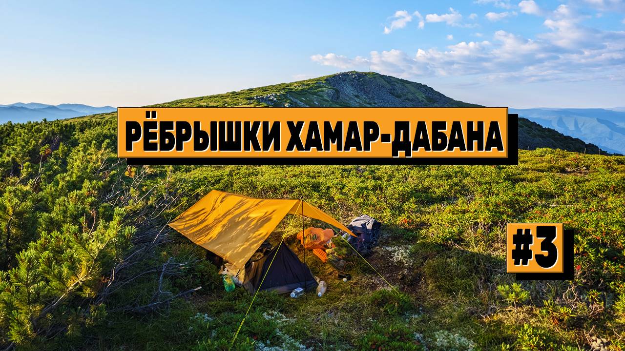 Время считать рёбрышки. Легкоходный поход на пик Чекановского. День 2. Серия 3. Хамар-Дабан