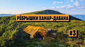 Время считать рёбрышки. Легкоходный поход на пик Чекановского. День 2. Серия 3. Хамар-Дабан