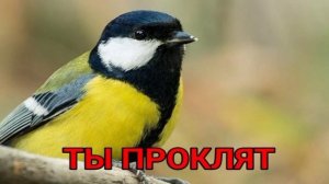 смертельный файл1.mp4