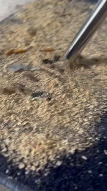 ПЫЛЕСОСЫ И ПОДМЕТАЛЬНЫЕ МАШИНЫ! #обзор #woodworking #пылесос смотреть онлайн