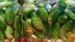 Консервированные огурцы с горчицей