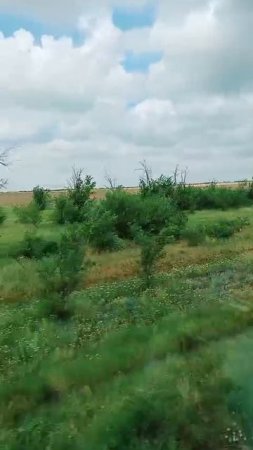 Пролетели Волгоград