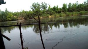 Компенсация за неудачную рыбалку