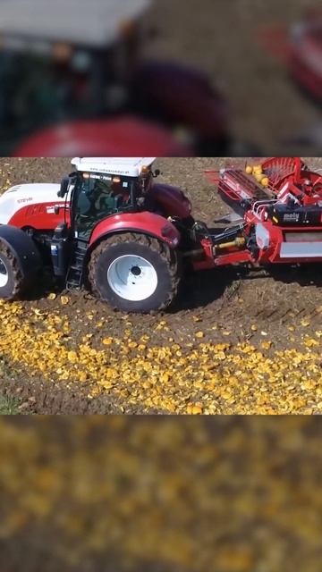 Комбайн для уборки тыквенных семечек #shorts смотреть онлайн