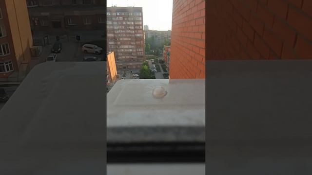 Лёд эффектно растворяется смотреть онлайн