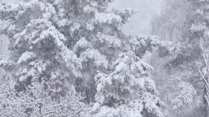 Зимнее утро А.С. Пушкин (читает М.Козаков)