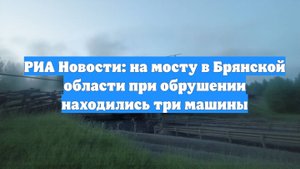 РИА Новости: на мосту в Брянской области при обрушении находились три машины