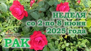 РАК | ТАРО прогноз на неделю со 2 по 8 июня 2025 года