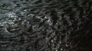 4K Peaceful Forest River 2 - Relaxing Water Stream Sounds - 9 Hours - Nature Video for Sleeping