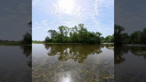 Любимое место карася ) #vovabeer