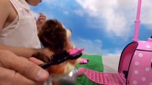 Miss Katy • Мисс Кейт - Кэти и обзор игрушки в чемодане